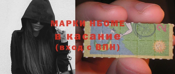 ГАЛЛЮЦИНОГЕННЫЕ ГРИБЫ Горняк