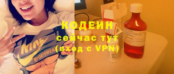 ГАЛЛЮЦИНОГЕННЫЕ ГРИБЫ Горняк