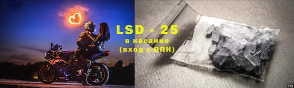 ГАЛЛЮЦИНОГЕННЫЕ ГРИБЫ Горняк