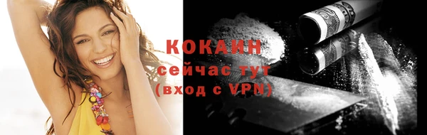 ГАЛЛЮЦИНОГЕННЫЕ ГРИБЫ Горняк