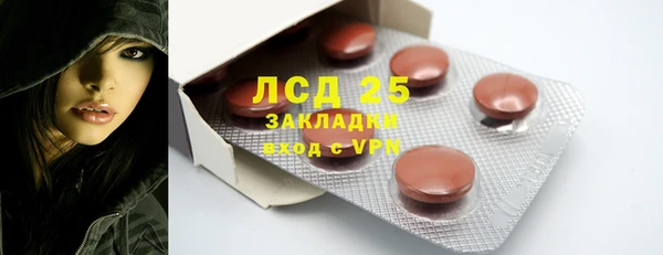 ГАЛЛЮЦИНОГЕННЫЕ ГРИБЫ Горняк