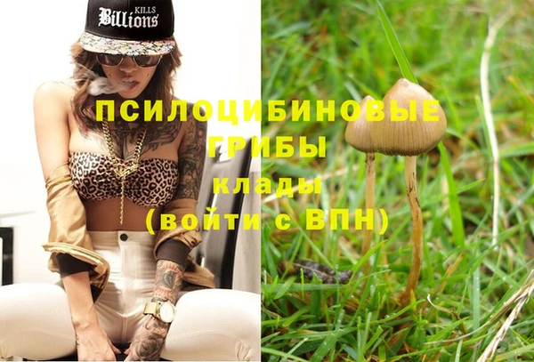ГАЛЛЮЦИНОГЕННЫЕ ГРИБЫ Горняк