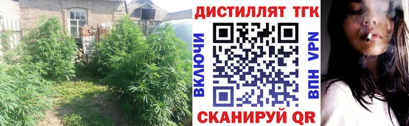 ТГК THC oil Яблоновский